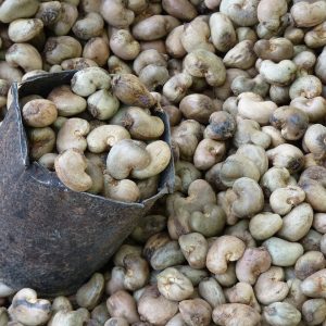 bulk supply cashew nuts