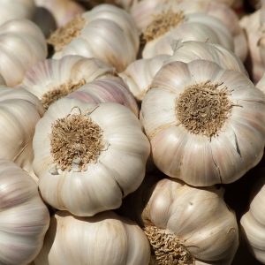 Garlic spice bulk supply