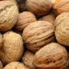 buy bulk walnuts online