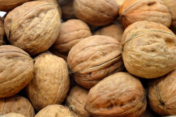 buy bulk walnuts online