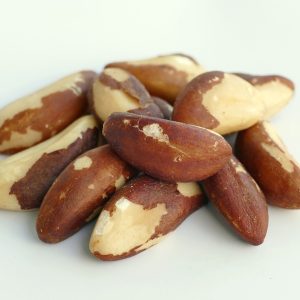 brazil nuts bulk supply