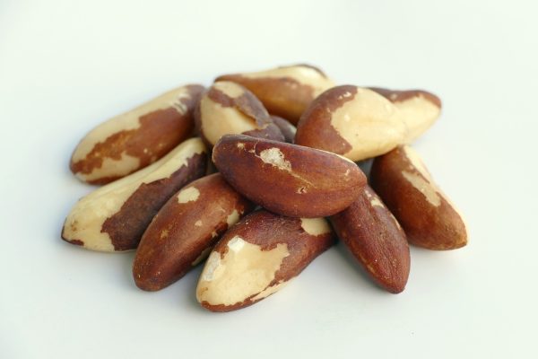 brazil nuts bulk supply