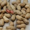 peanuts bulk supply price