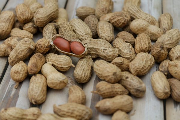 peanuts bulk supply price