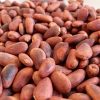 bulk supply for cocoa bean