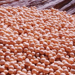 bulk soybeans supplier