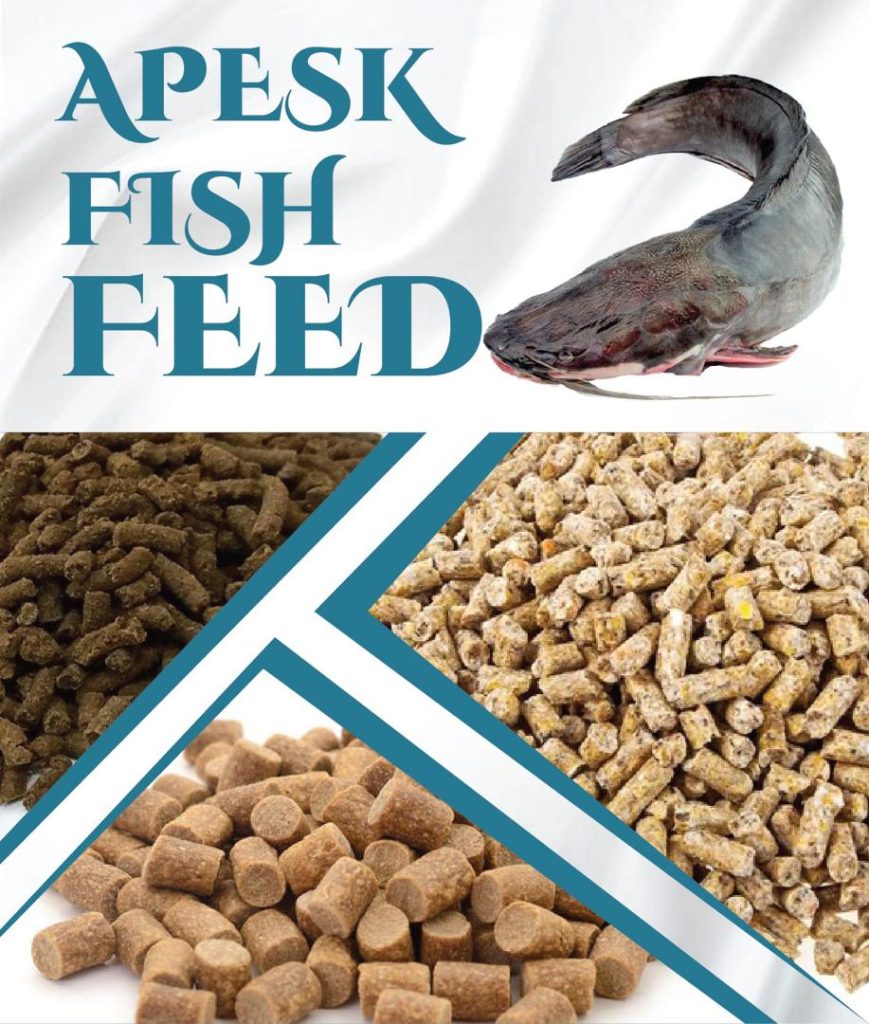 fish farm feed ( aquaculture feed )